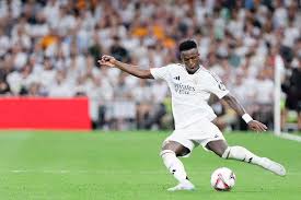 丰富的季后 丰富的季后